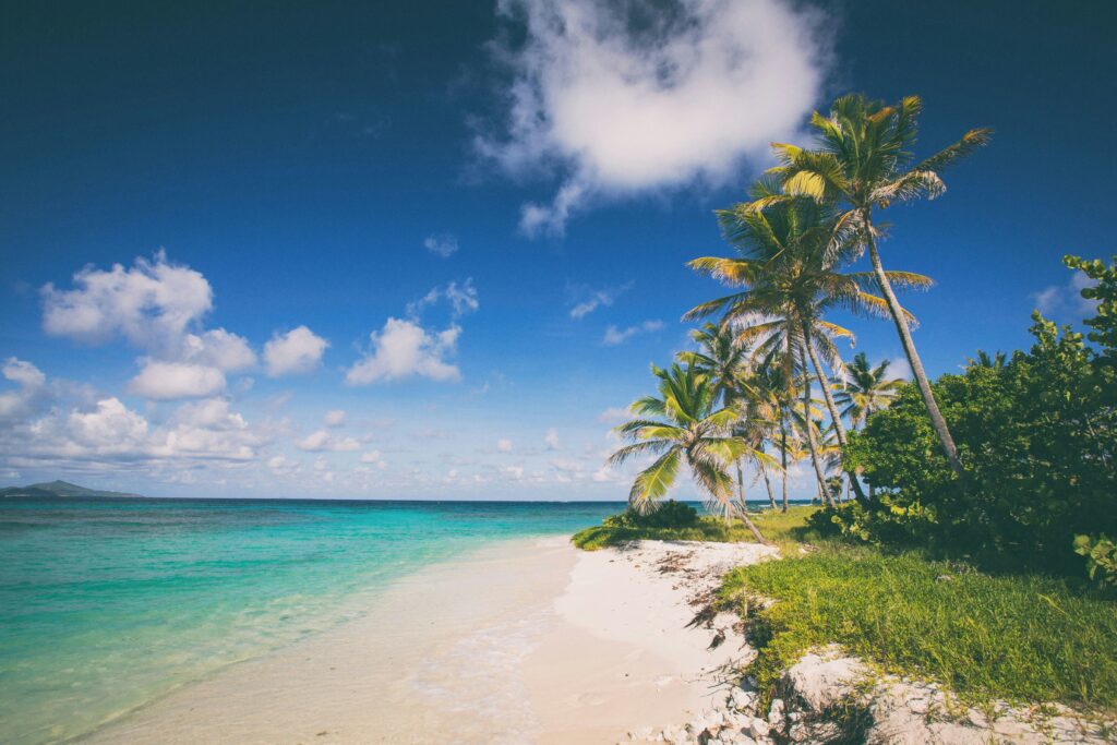 The Voyage Agency White Sand Beach Caribbean